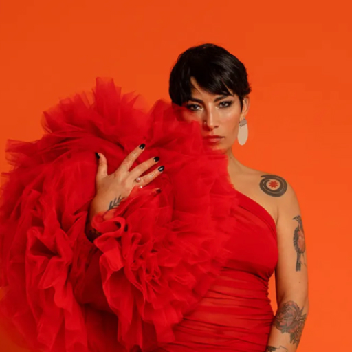 Ana Tijoux Vancouver Concert Tickets
