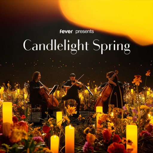 Candlelight: A Tribute to Beyonce Vancouver Tickets