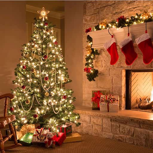 Christmas Show - Joy to The World Vancouver Tickets