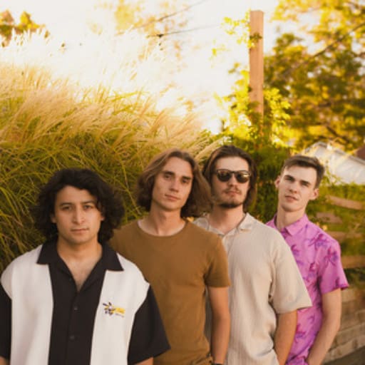 Flamingos in the Tree Vancouver Tickets
