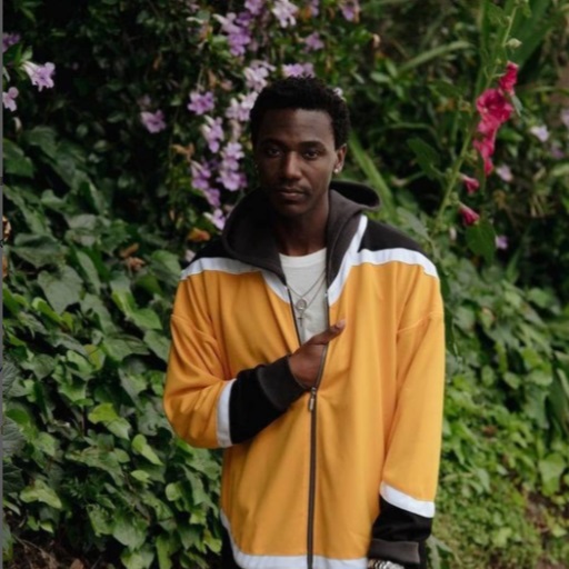 Jerrod Carmichael in Vancouver
