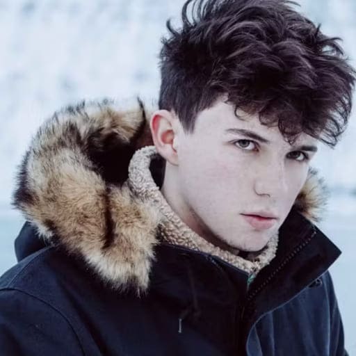 Petit Biscuit Vancouver Tickets