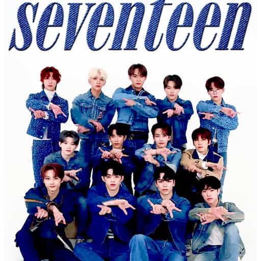 Seventeen Tickets 2026