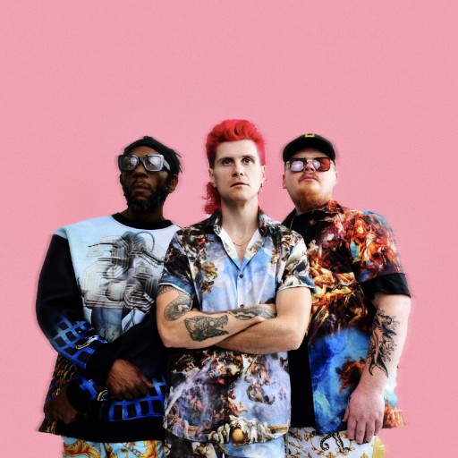 Too Many Zooz Tickets 2026